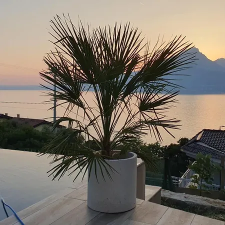 Apartman Holzi